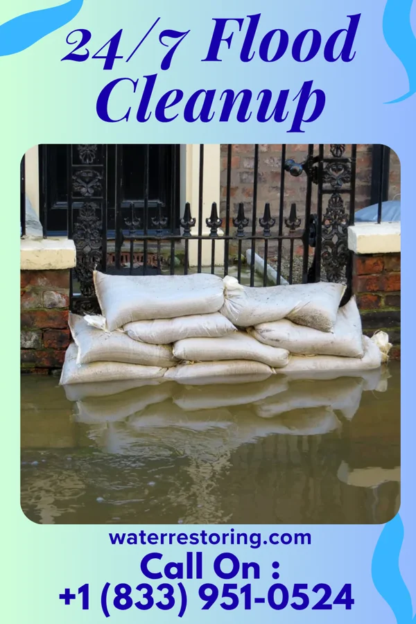 24/7 Flood Cleanup in Wadena, MN