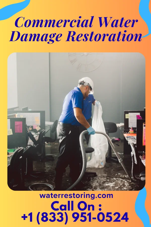 Commercial Water Damage Restoration in Wadena, MN