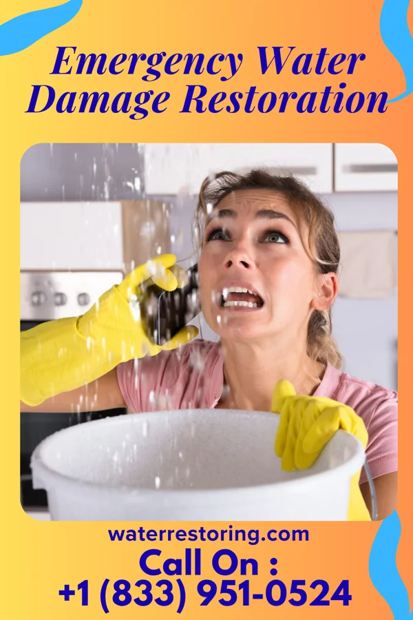 Emergency Water Damage Restoration in Wadena, MN