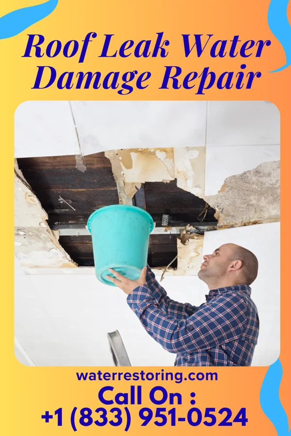 Roof Leak Water Damage Repair in Wadena, MN