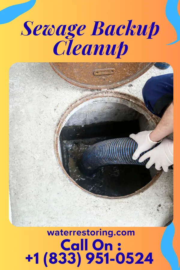 Sewage Backup Cleanup in Wadena, MN