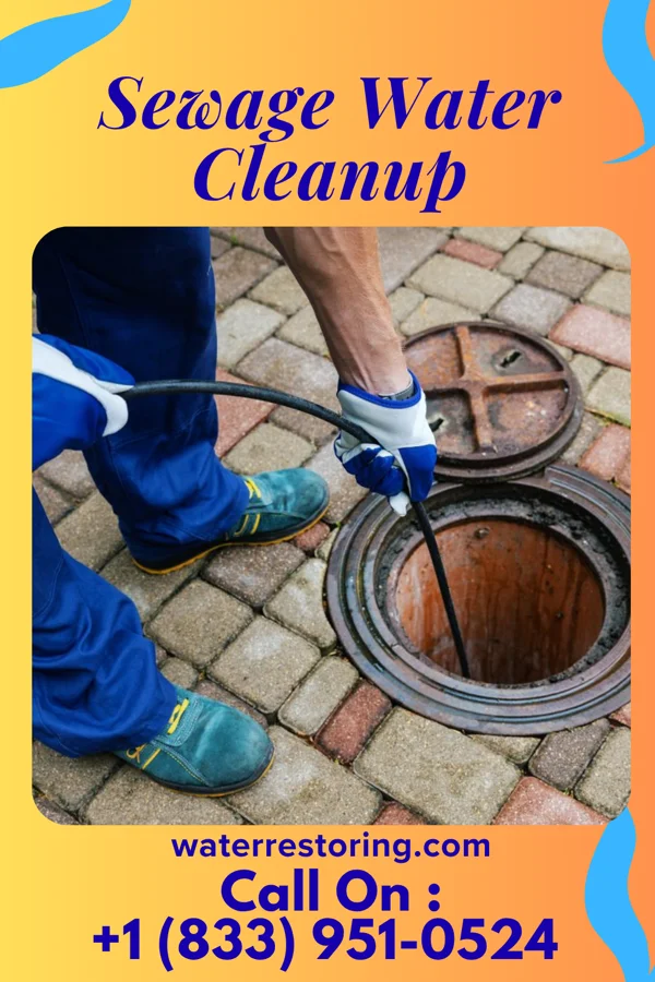 Sewage Water Cleanup in Wadena, MN