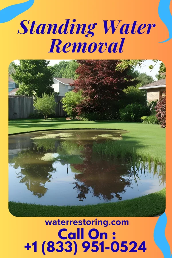 Standing Water Removal in Wadena, MN